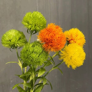 Green Trick Dianthus Flower With Foliage, Allium Pompon Bloom, Artificial Floral Decor, Home Rustic Wildflower, Wedding Bouquet Arrangement