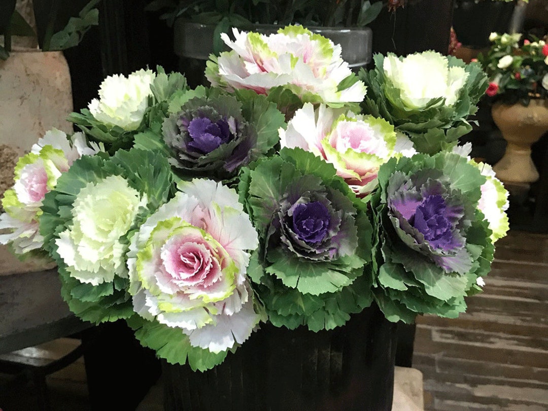 Artificial Flowering Kale Stem, Quality Ornamental Cabbage, Living Room