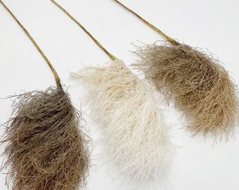 May include: Three dried pampas grass stems with fluffy plumes in brown, white, and beige colors. The stems are long and slender, and the plumes are soft and feathery.