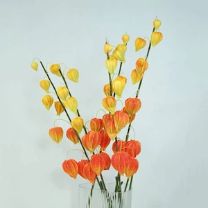 Könnte beinhalten: Ein Strauß aus orangefarbenen und gelben Papierlaternenblumen in einer durchsichtigen Glasvase. Die Blumen sind in einem lockeren, natürlichen Stil angeordnet.