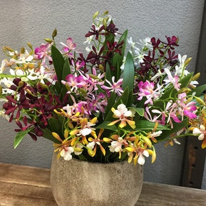Vanda Orchid Plant with Roots, Realistic Orchid, Artificial Flowers, Home Floral Decor, Wedding Party Bloom Arrangement, Table Centerpiece