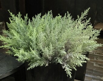 May include: A bunch of artificial green and gray leafy sprigs in a black pot. The sprigs are arranged in a bushy, full shape.