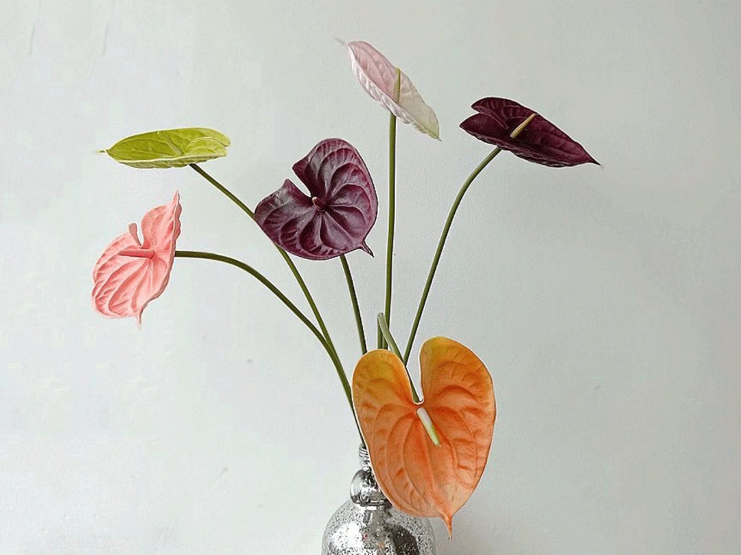 Flamingo Lily Flower Stem Artificial Anthurium Andraeanum - Etsy Australia