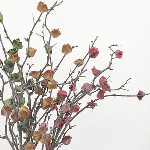 Tige de fleur de lanterne d’aspect séché, branche morte artificielle avec fruit, décoration de brindille rétro, arrangement floral pour la maison, centre de table de fête rustique