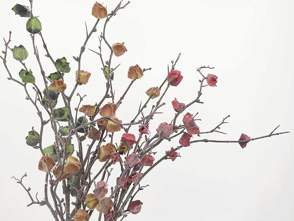 Dried Decorative Branches, Natural Branches, Red Brown Branches