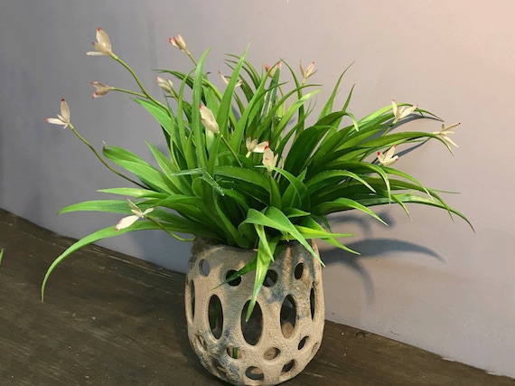 Buy Artificial Spider Plant With Flower, Fake Chlorophytum Comosum, Home  Greenery Decor, Window Plant Craft, Dining Table Floral Arrangement DIY  Online in India - Etsy