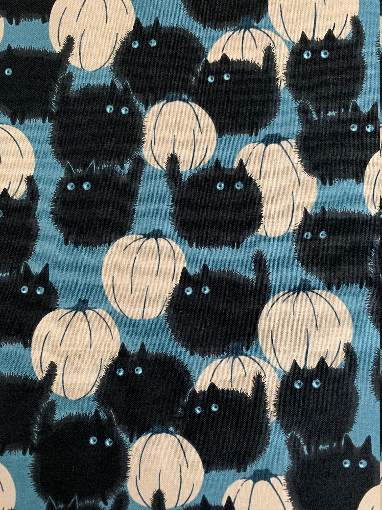 Remnants! End of Bolts! Belinda's Big Kitty Haunted House Black C…