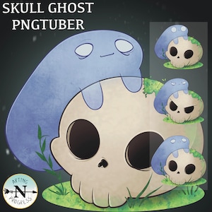Skull Ghost PNGtuber - Veadotube Mini en Discord Stream-avatar voor streamers