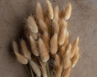 Bunny Tails - Tan/Brown