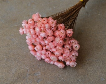 Mini Star Flowers - Pink