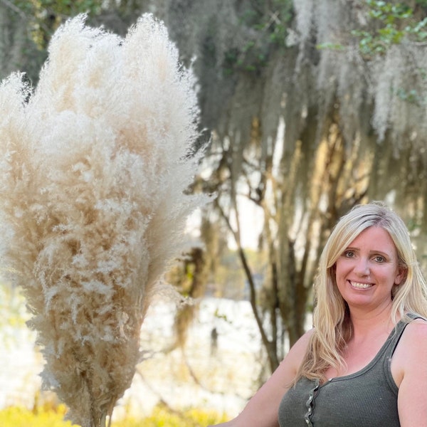 Jumbo 4 FT Natural Fluffy Pampas Grass- Limited Edition