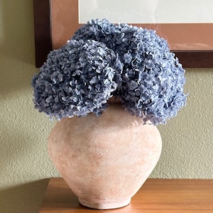 Preserved Large Dark Dusty Blue Hydrangea