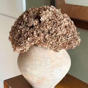 May include: A light brown ceramic vase with a rough texture, filled with dried beige hydrangeas.