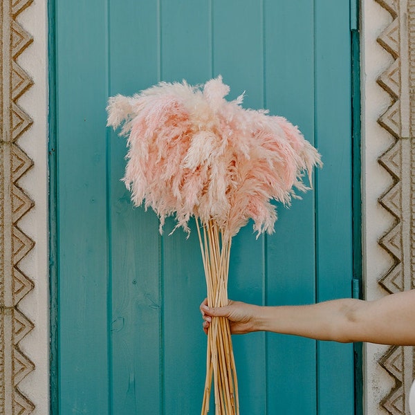 Pampas Grass Decor Etsy