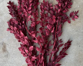 Dried and Preserved Berry Wine Ruscus