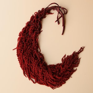 Hanging Amaranthus - Brick/Deep Red