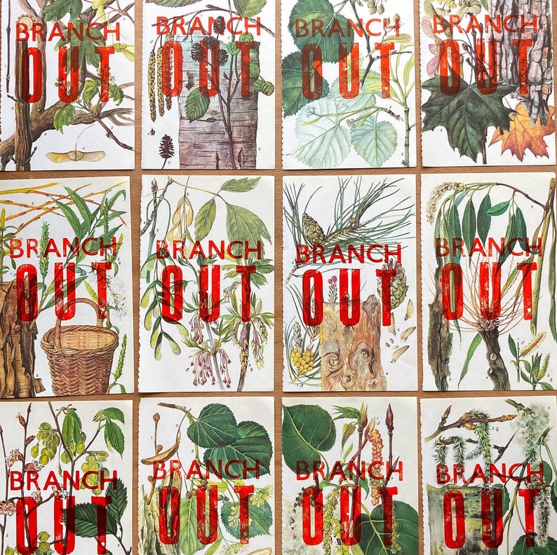 Cartel de arte de ilustración de árbol vintage, cartel de impresión tipográfica de rama, cartel de arte botánico de árboles, impresión de decoración de pared de arte de la naturaleza imagen 3