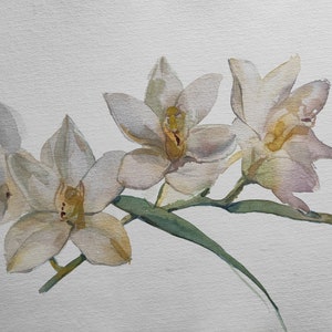 Orchid Painting Flower Original Art Floral Artwork Orchid Artwork Flowers Artwork Floral Painting Watercolor 10  by 14&quot; by CupOfArtOriginal