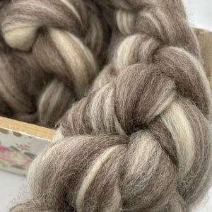 May include: Braided roving wool in shades of brown and cream. The fiber is tightly spun, creating a textured appearance. This wool is likely used for hand spinning, felting, or other fiber arts projects.