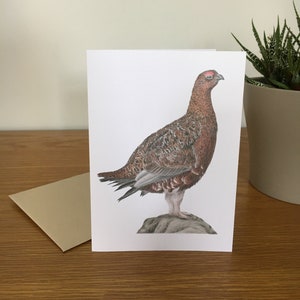 Tarjeta de felicitación de grouse A6 en blanco