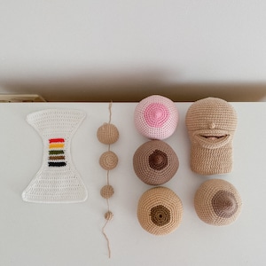 Breastfeeding training kit for midwife, doula, lactation consultant | obstetrician student set | crochet baby puppet&breast demonstration