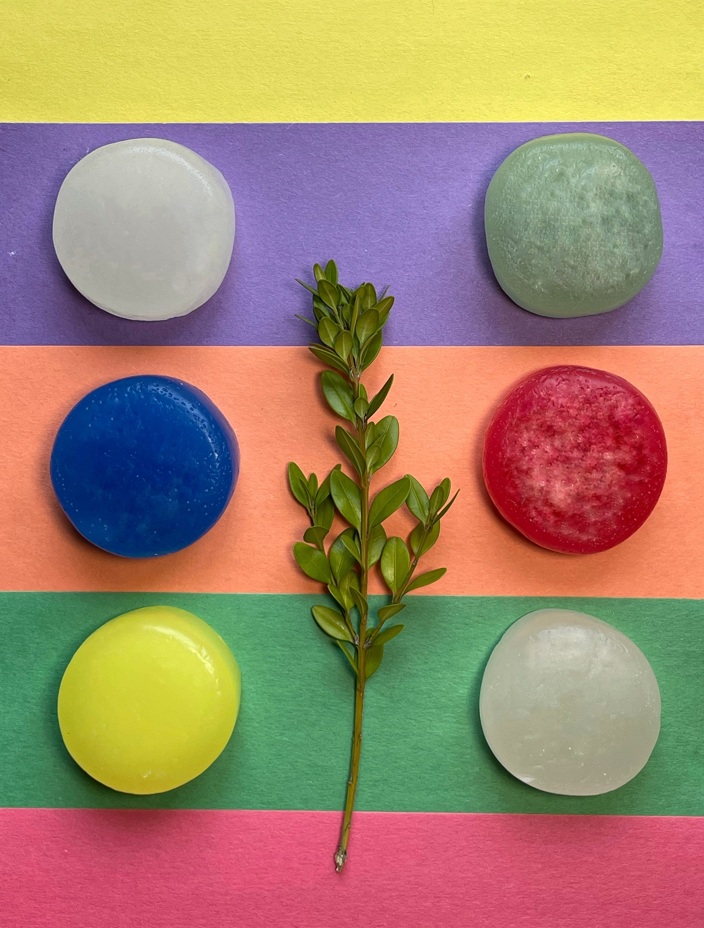 Organic Shampoo Bar and Conditioner Bar Eco Friendly Zero Etsy