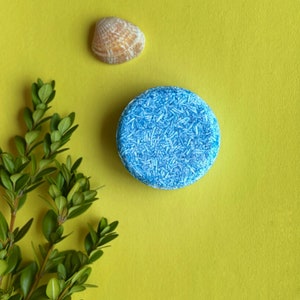 Ocean Organic Vegan Shampoo Bar - Eco Friendly - Zero Waste - Plastic Free - Beauty and Aromatherapy - Travel Shampoo bar
