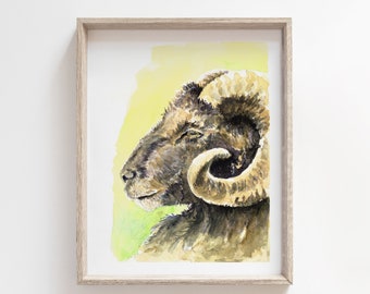 Sheep watercolour print, Sheep art print, Ram print, Farm art, painting print, original art, wall art, Farmyard print, farm animal