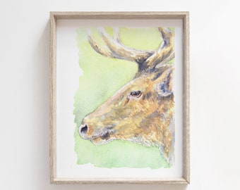 Deer watercolour print, Deer art print, woodland art, painting print, original art, wall art, watercolor, Stag, Buck, Doe, forrest art