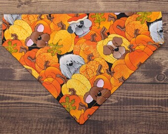 Bandana de outono para cachorro, para usar por cima da coleira, lenço deslizante, estampa de abóboras para o rosto.
