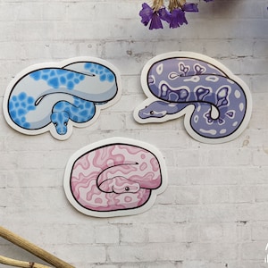 May include: Three snake stickers with white borders are displayed against a white brick wall. One snake is light gray with blue spots, another is purple with white spots, and the third is pink with a lighter pink pattern. The stickers are illustrations.
