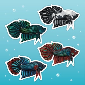 Könnte beinhalten: Vier bunte Betta-Fisch-Aufkleber auf blauem Hintergrund mit Blasen. Die Fische haben detaillierte Flossen in Blau-, Grün-, Rot- und Schwarztönen. Jeder Aufkleber hat einen weißen Rand, der ein sauberes, auffälliges Design erzeugt.