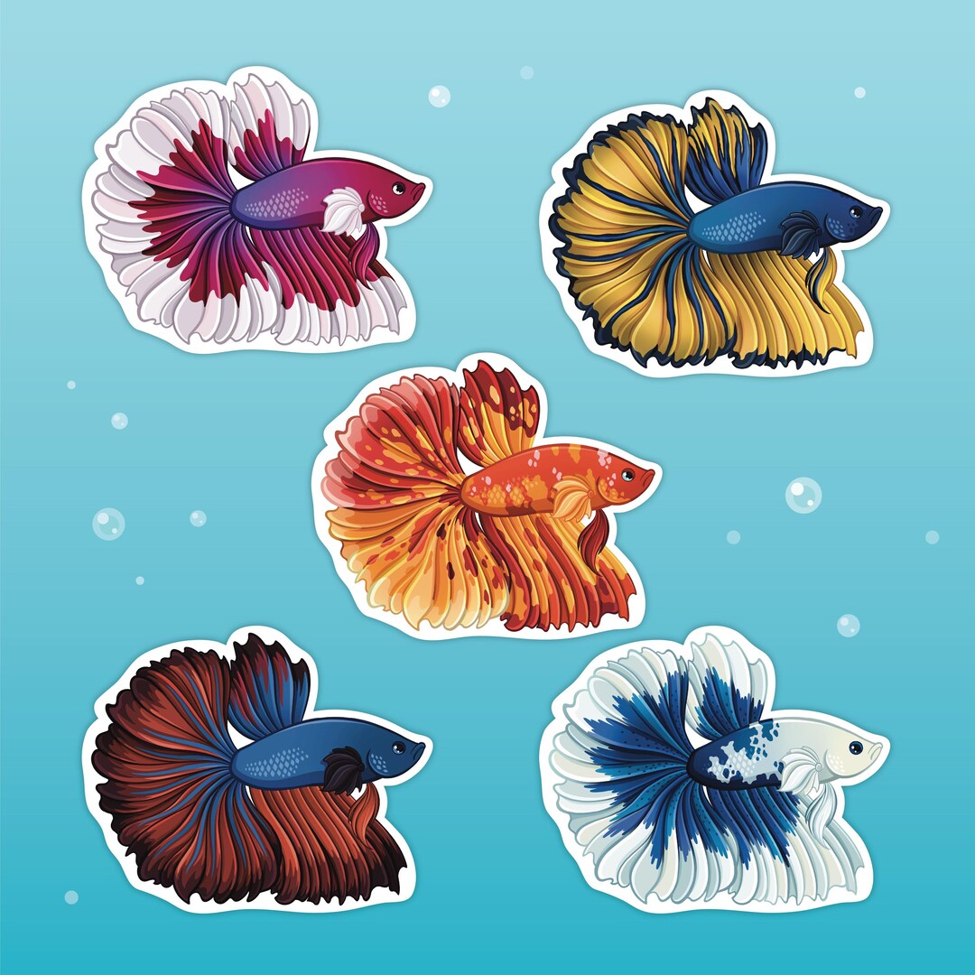 Rosetail Betta Fish Sticker – Colorful Aquarium Fish Art, Fishkeeper ...