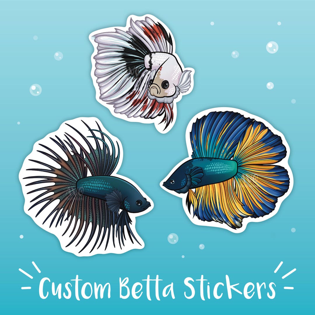 Custom Betta Fish Stickers – Colorful Aquarium Fish Art, Fishkeeper ...