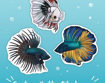 Custom Betta Fish Stickers – Colorful Aquarium Fish Art, Fishkeeper Gift (Glossy Vinyl)