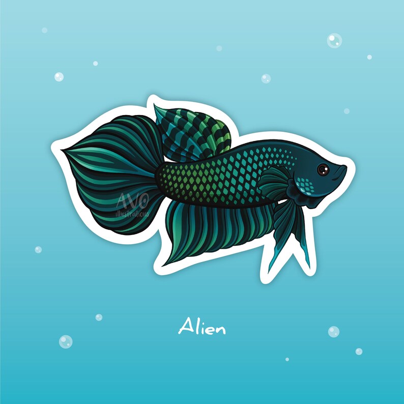 Spadetail Betta Fish Sticker – Colorful Aquarium Fish Art, Fishkeeper ...