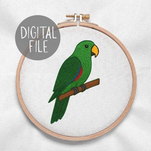 Op de afbeelding: Geborduurd ontwerp van een groene papegaai op witte stof, in een houten borduurring. De papegaai heeft een gele snavel en rode en blauwe accenten op de vleugels. De tekst "DIGITAL FILE" staat in een grijze cirkel linksboven.