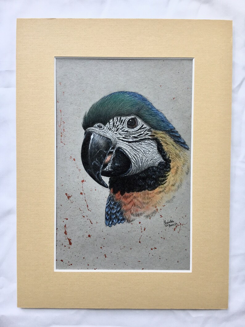 wall art Parrot drawing original drawing small parrot drawing mixed media drawing parrot parrot artwork original artwork home decor