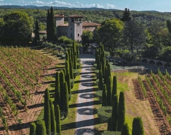 Custom Order - Château de Berne (First Payment for Materials & Initial Concept)