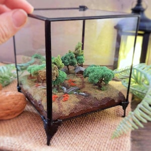 Miniature Forest Diorama. Woods Scene. Forest River Diorama. Woods Hut Scene. Poppies. Luxury glass box. Unique Handmade Miniature Diorama.