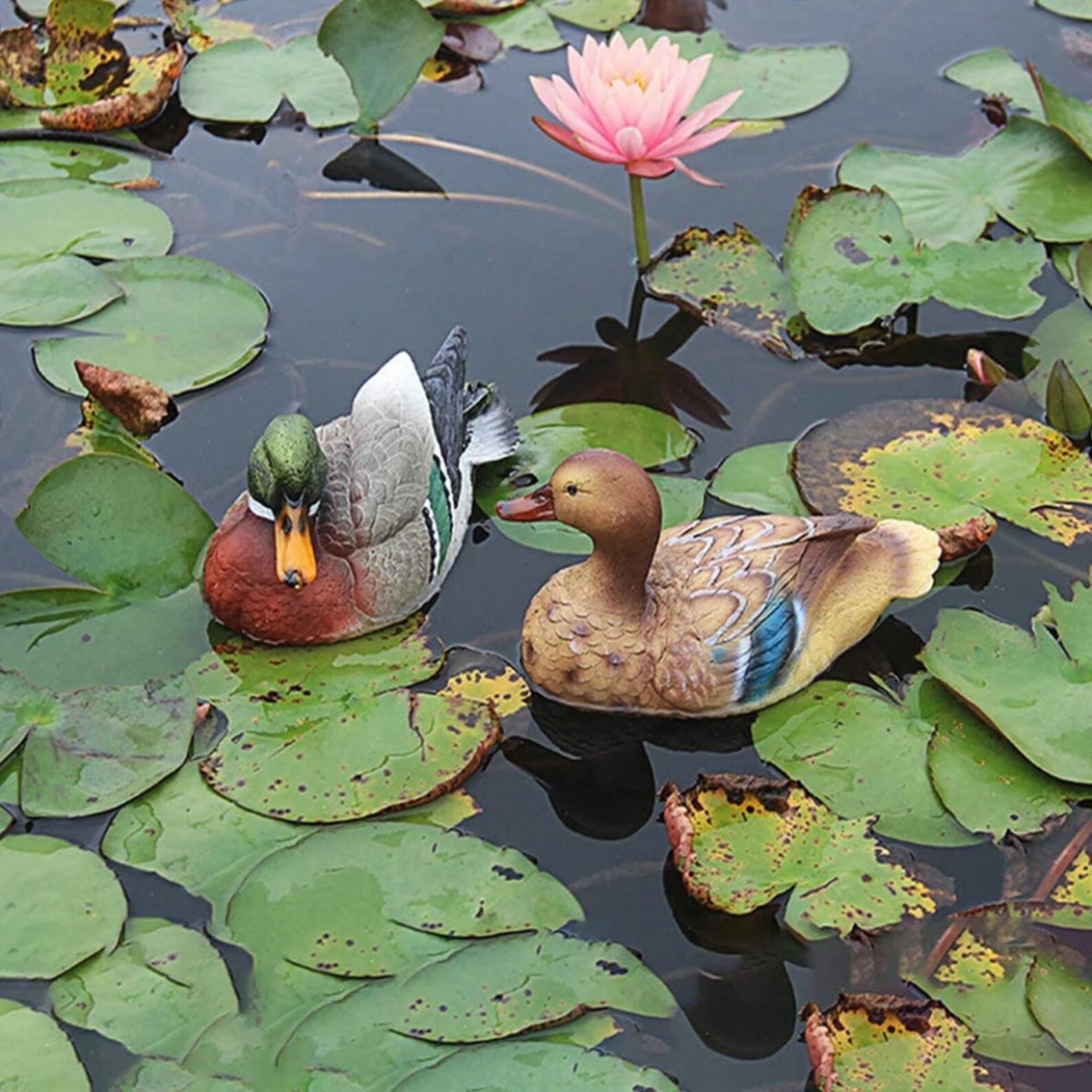 resin duck statue