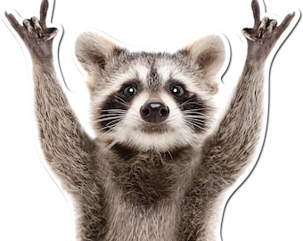 Rocking Raccoon Bumper Sticker Car Window Vinyl Decal 5&quot;