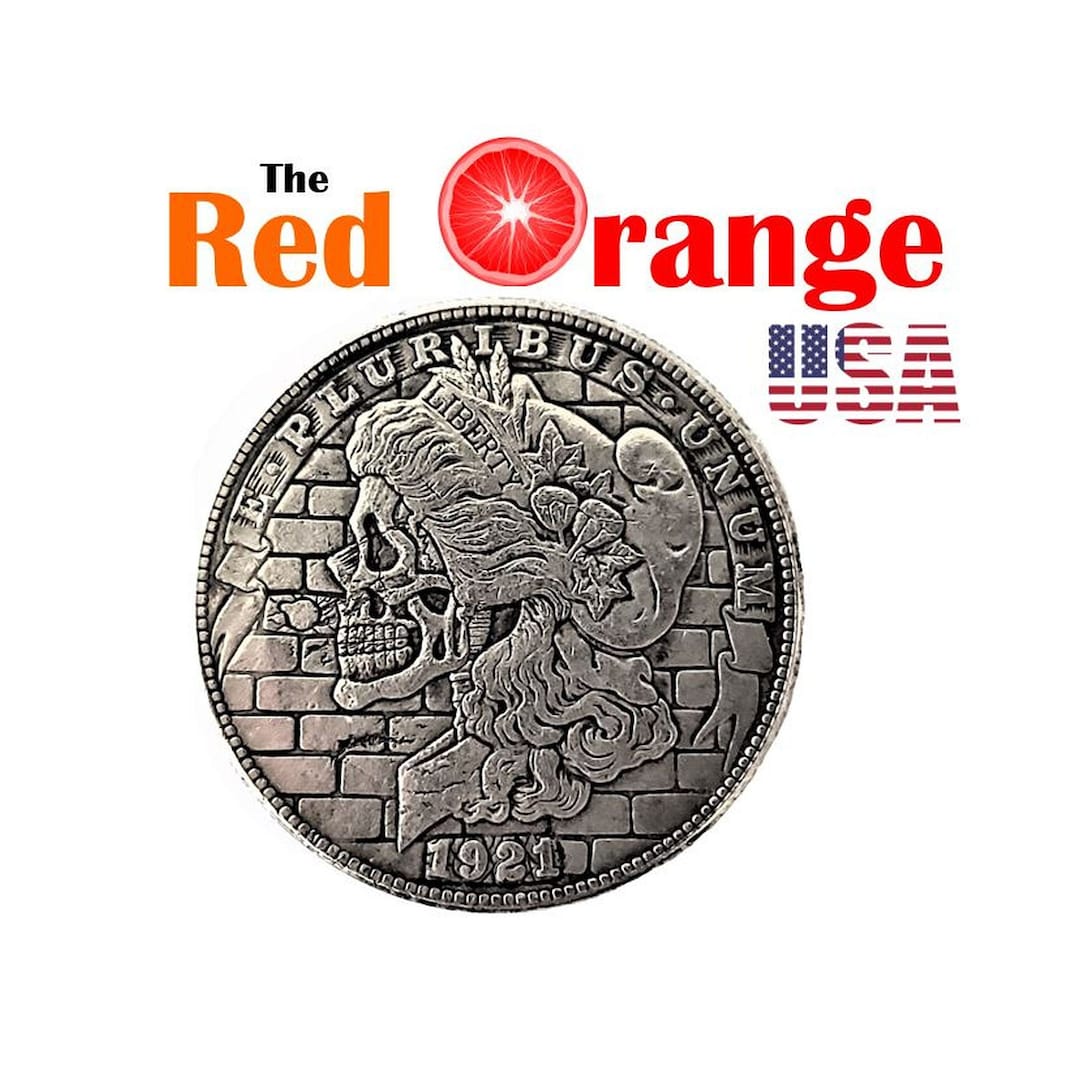 HOBO NICKEL Hobo Coin Liberty Skull Dollar Collectible Novelty Coin for ...