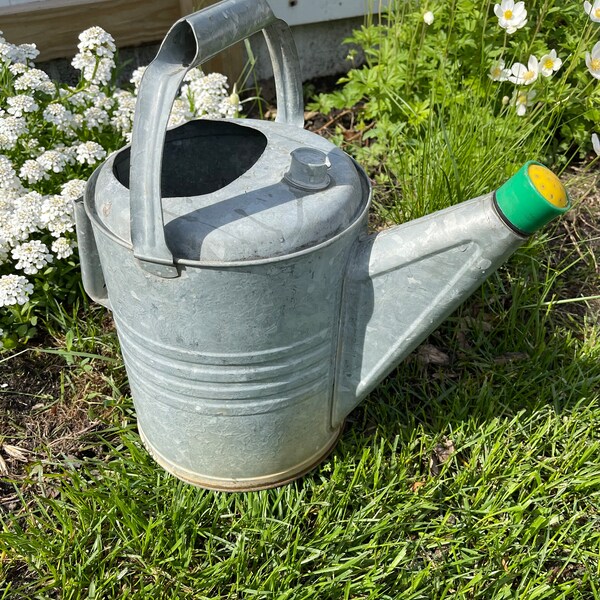 Galvanized Watering Can Etsy