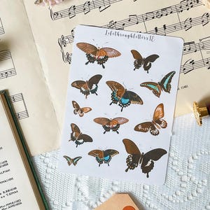Adesivi a farfalla / Fatti a mano / Journaling / Scrapbooking / Posta tradizionale / Vintage / Tema natura
