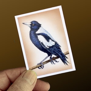 May include: A watercolor painting of a magpie perched on a branch. The bird has black and white feathers, a long tail, and a yellow eye. The background is a light brown color.