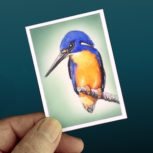 May include: A vibrant watercolor painting of a kingfisher bird perched on a branch. The bird features a blue head, orange chest, and a long, black beak. The artwork is set against a light green background within a white-bordered rectangle.