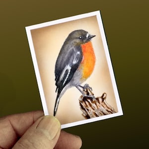 May include: A watercolor painting of a small bird with a black head and back, a bright orange breast, and white markings on its wings. The bird is perched on a small, textured branch against a light brown background, framed in white.