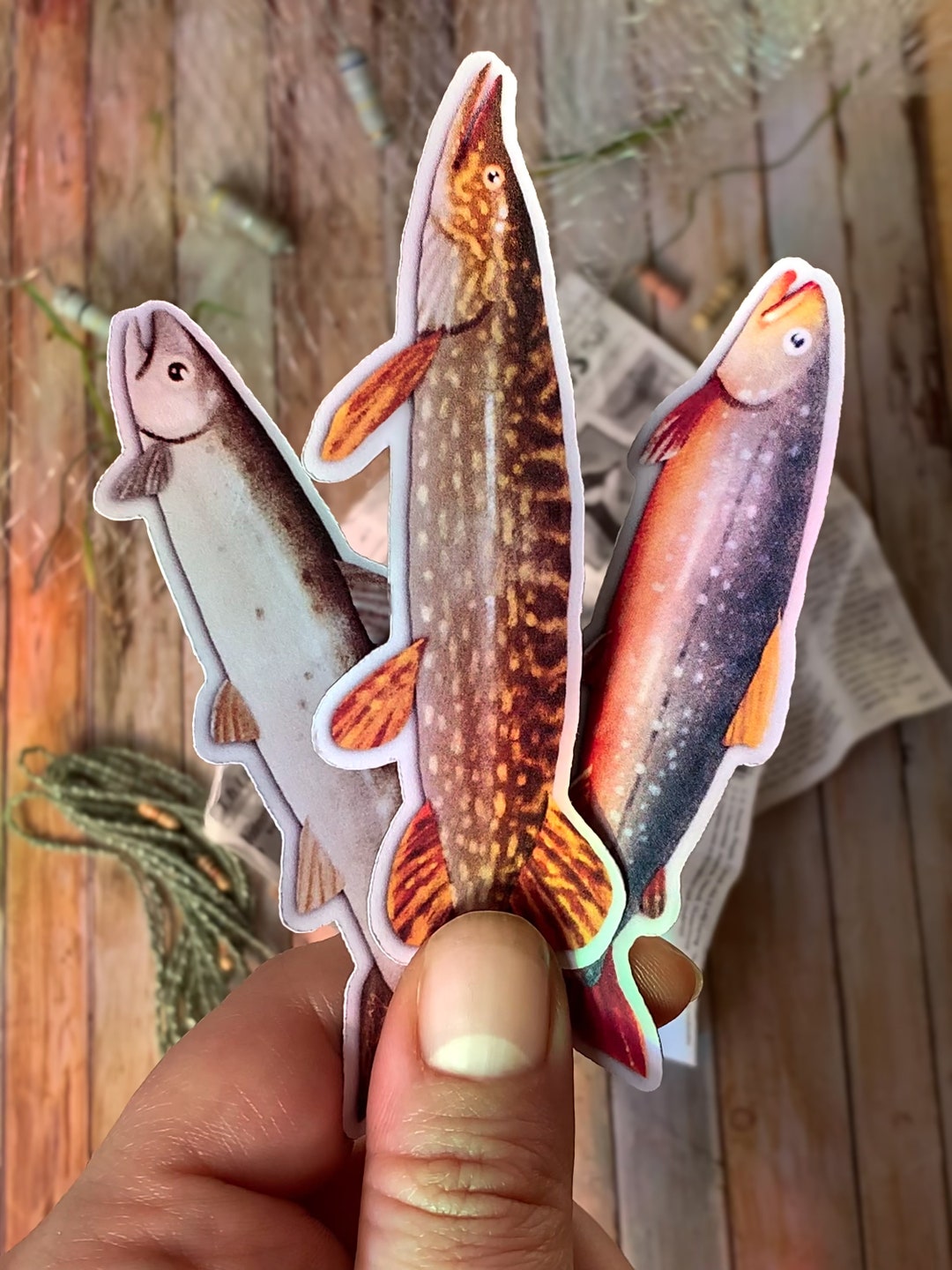 East Coast Fish Magnet Set - Etsy