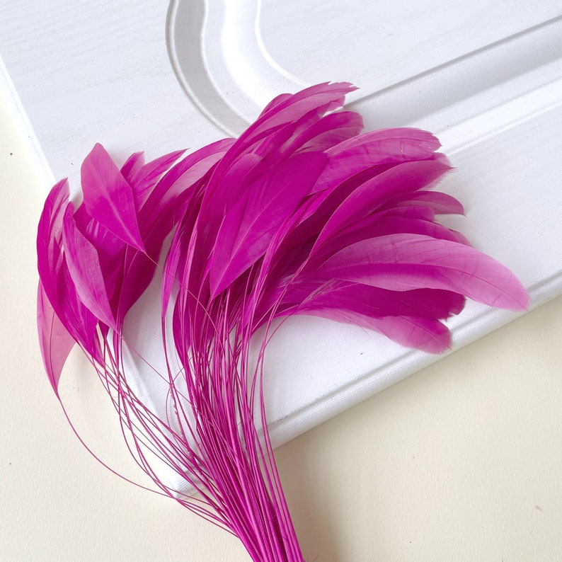 May include: A bunch of bright pink feathers, arranged in a fan shape, with the tips of the feathers pointing to the right. The feathers are soft and fluffy, and they are perfect for crafting or decorating.